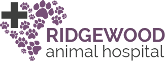 ridgewood animal hospital veterinarian in colorado 0a654ff98faf331c83b89950227cf0dd 2
